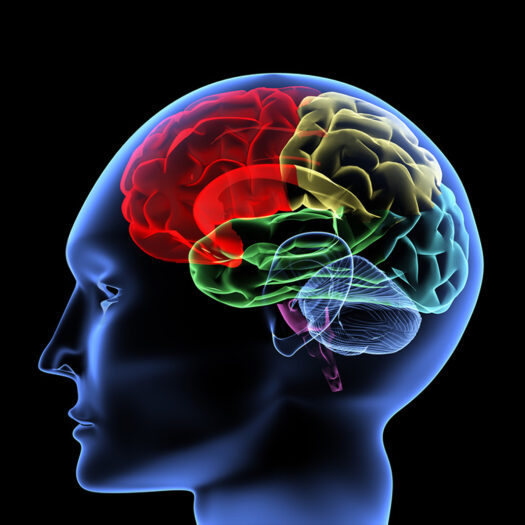 Hypnose thérapeutique paramédicale