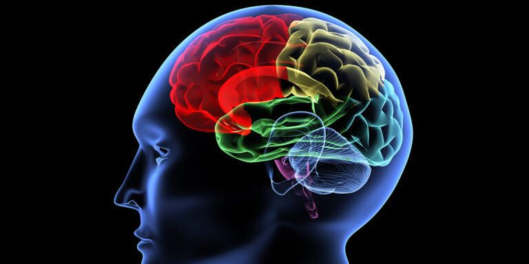 Hypnose thérapeutique paramédicale