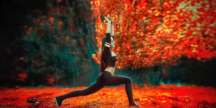 Réathlétisation et renforcement musculaire