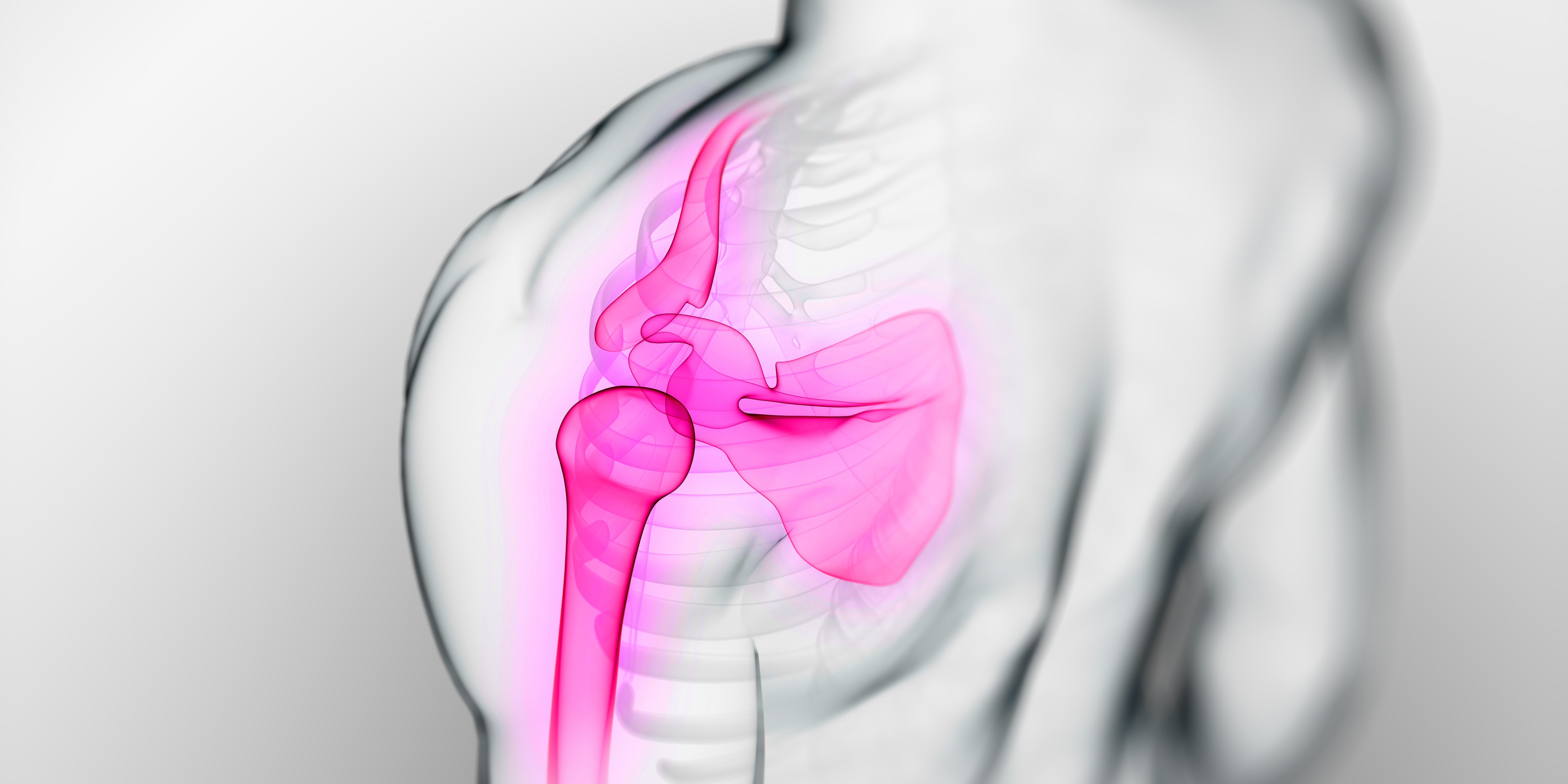 shutterstock_96726307