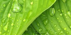 Démarche écologique et environnementale